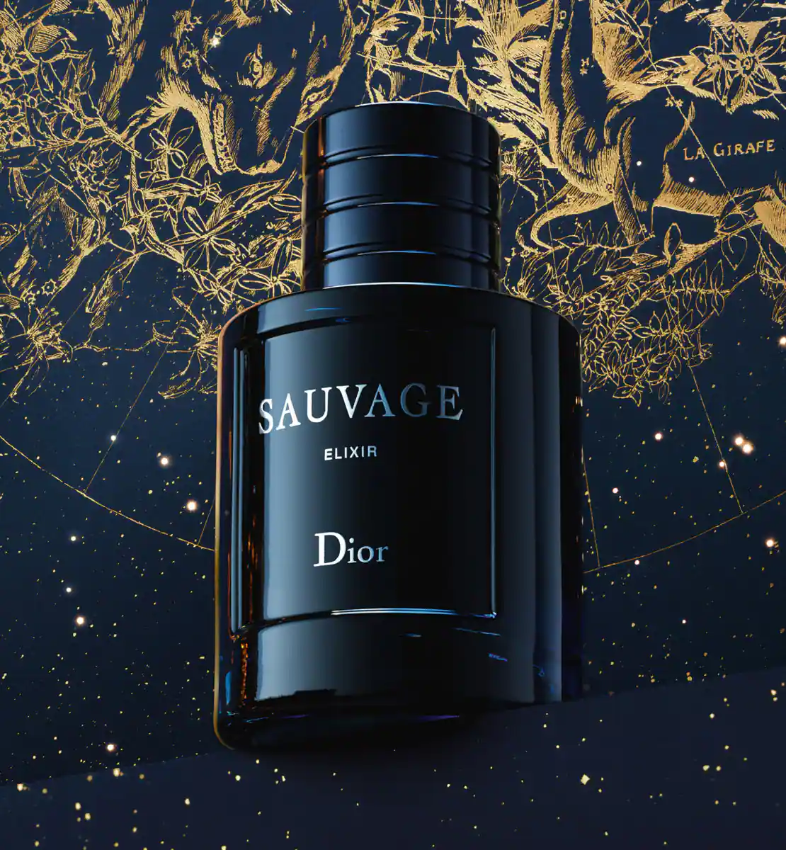 Sauvage Elixir